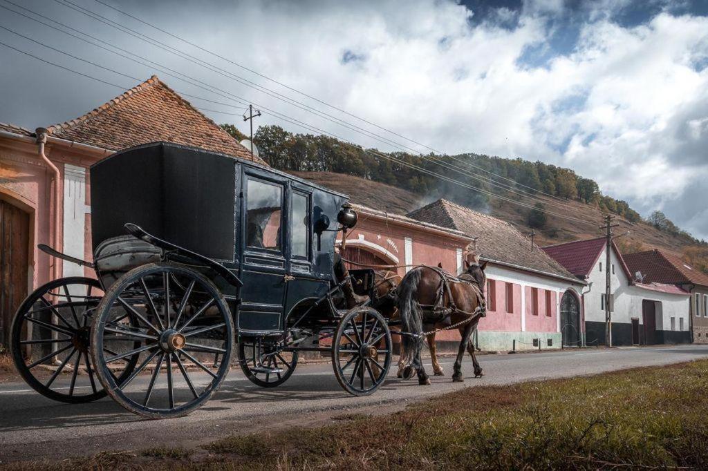 Valea Verde Retreat Transilvania Cund 외부 사진