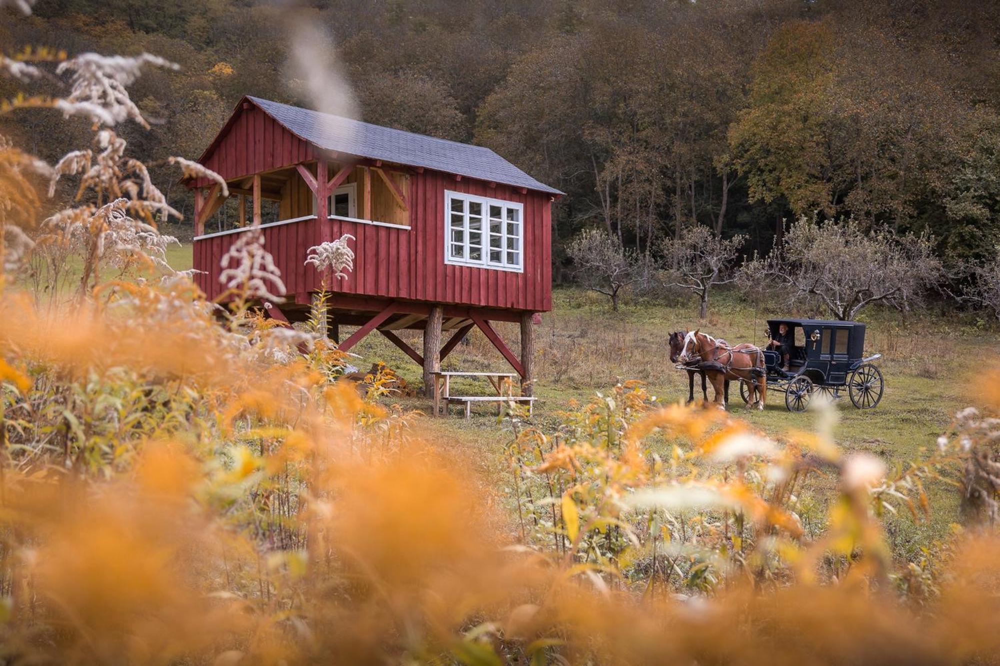 Valea Verde Retreat Transilvania Cund 외부 사진